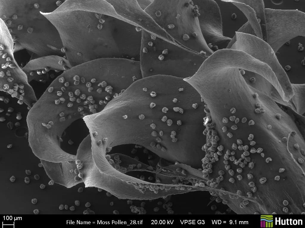 Alive Labs & James Hutton Institute