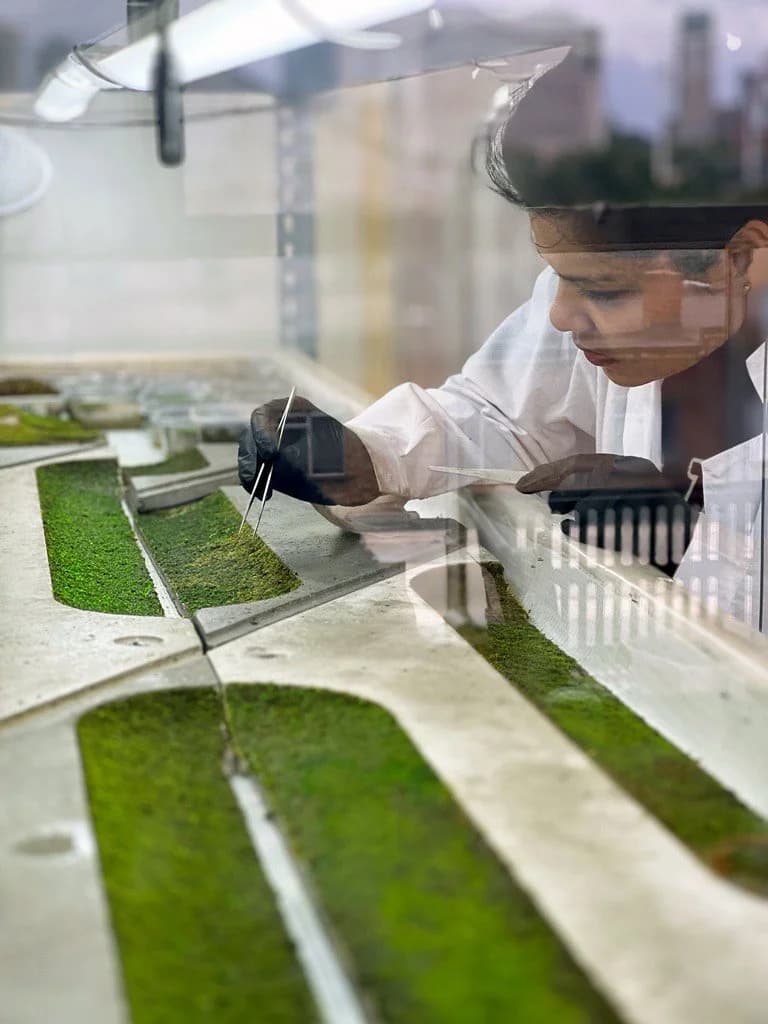 Alive Labs Secures £150,000 investment from SFC