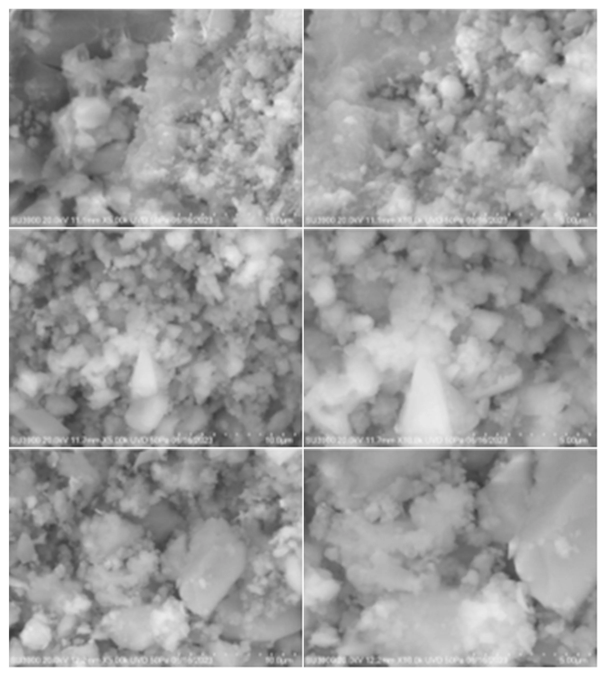 Alive Labs establishes low-carbon, bioreceptive concrete mix, Terranite